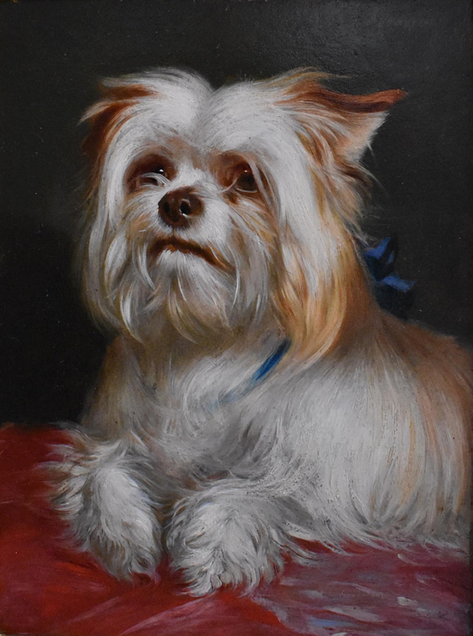 Un Yorkshire terrier avec son nœud bleu préféré - Painting de Thomas Earl