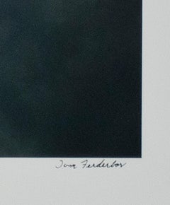 ""Plane Into Cloud, AZ", Photographie couleur signée par Thomas Ferderbar