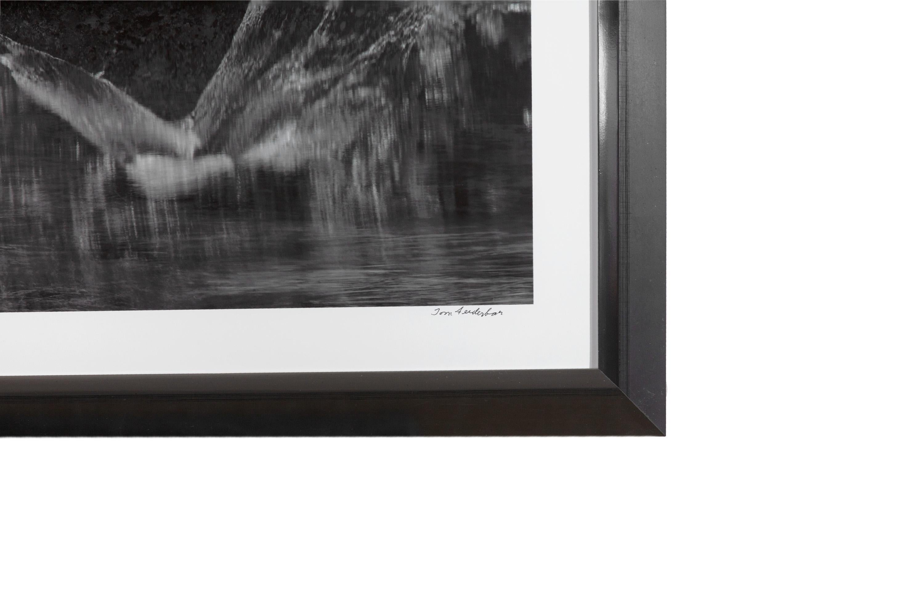 'Rock, Mirror Lake, Yosemite' Original Photograph by Thomas Ferderbar For Sale 1