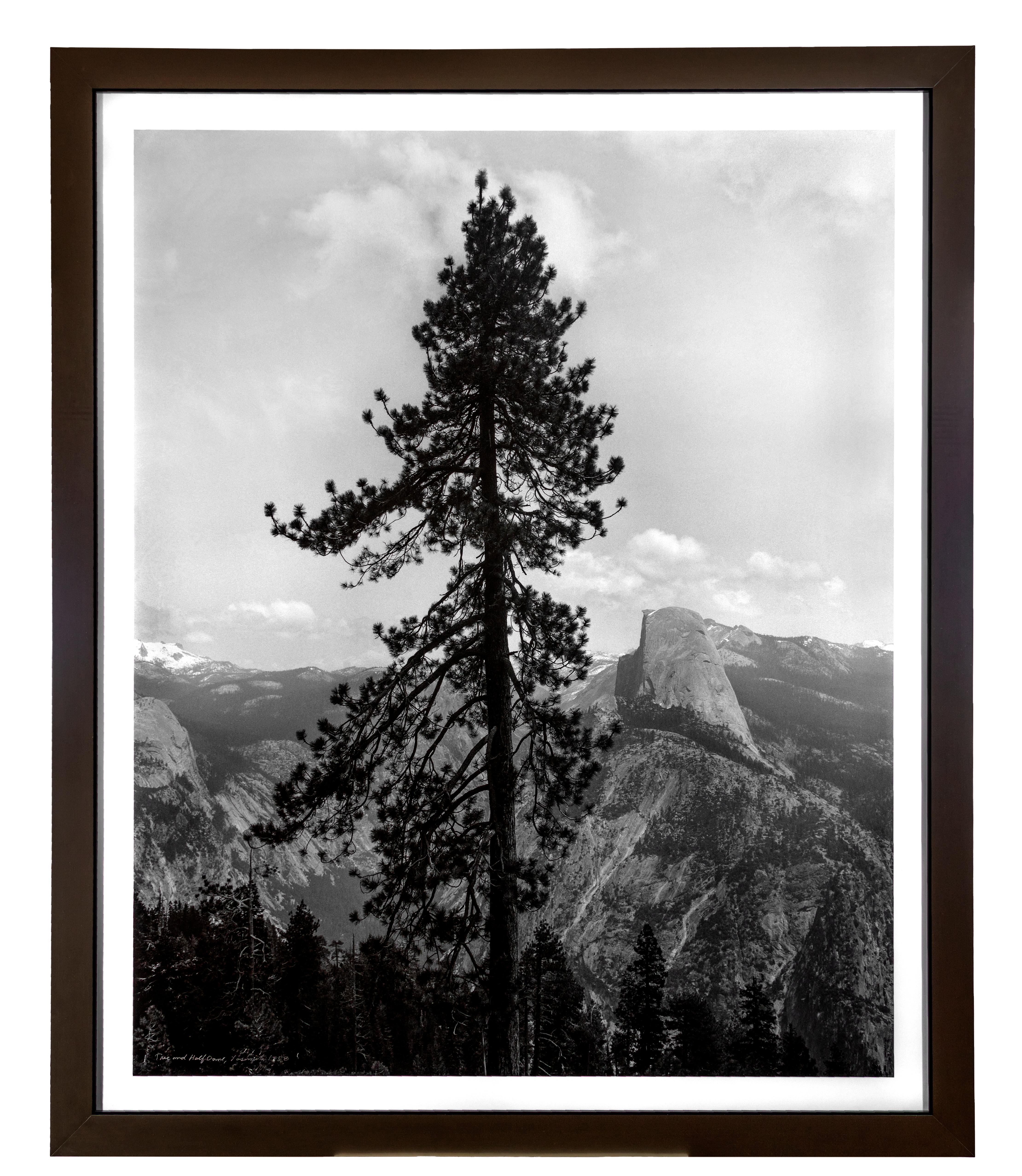 Thomas Ferderbar Landscape Photograph - "Tree & Half Dome (Yosemite National Park, CA)" Photograph signed by T Ferderbar