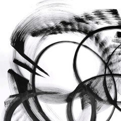 Delta Muscae - Pittura in bianco e nero