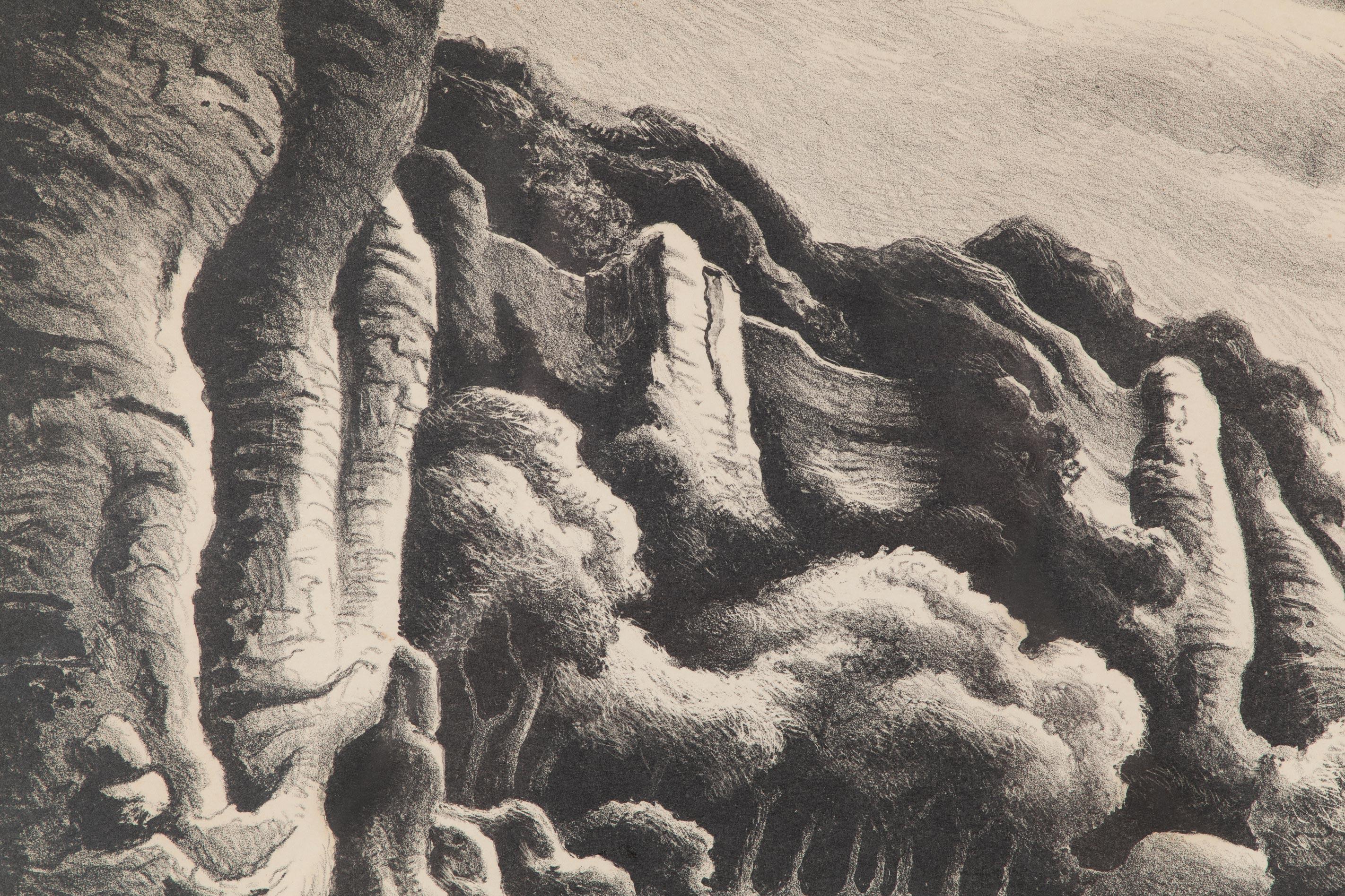 Making Camp im Angebot 2