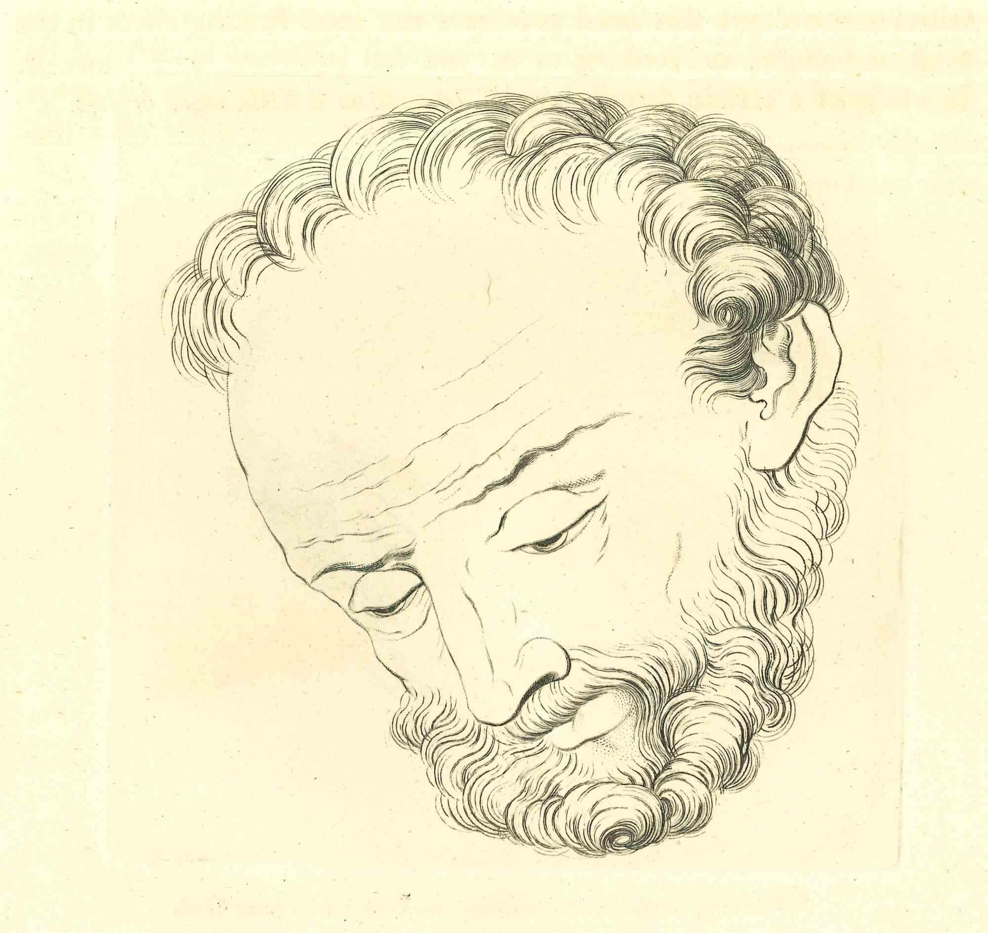 Portrait is an original etching artwork realized by Thomas Holloway for Johann Caspar Lavater's "Essays on Physiognomy, Designed to Promote the Knowledge and the Love of Mankind", London, Bensley, 1810. 

With the script and the etching of a boy on