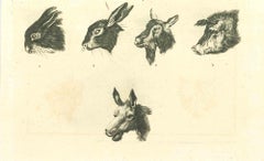 Antique Animals Muzzles - Original Etching by Thomas Holloway - 1810
