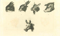 Animals Muzzles - Original-Radierung von Thomas Holloway - 1810