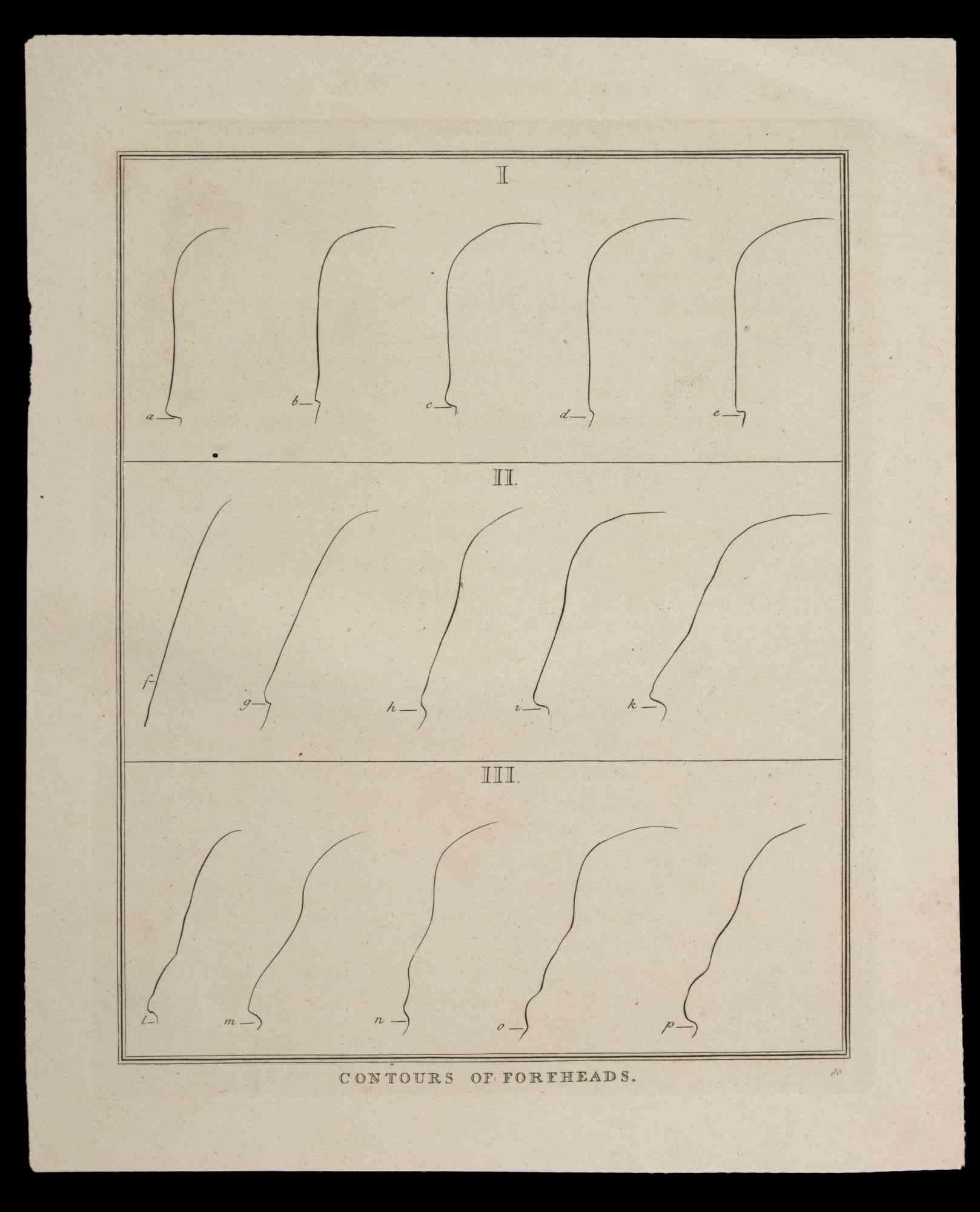 Contours of Foreheads is an original etching artwork realized by Thomas Holloway for Johann Caspar Lavater's "Essays on Physiognomy, Designed to Promote the Knowledge and the Love of Mankind", London, Bensley, 1810. 

Titled on the lower