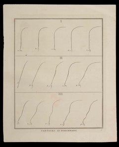 Contours of Foreheads - Original Etching by Thomas Holloway - 1810