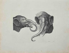 Antique Elephants - Original Etching by Thomas Holloway - 1810