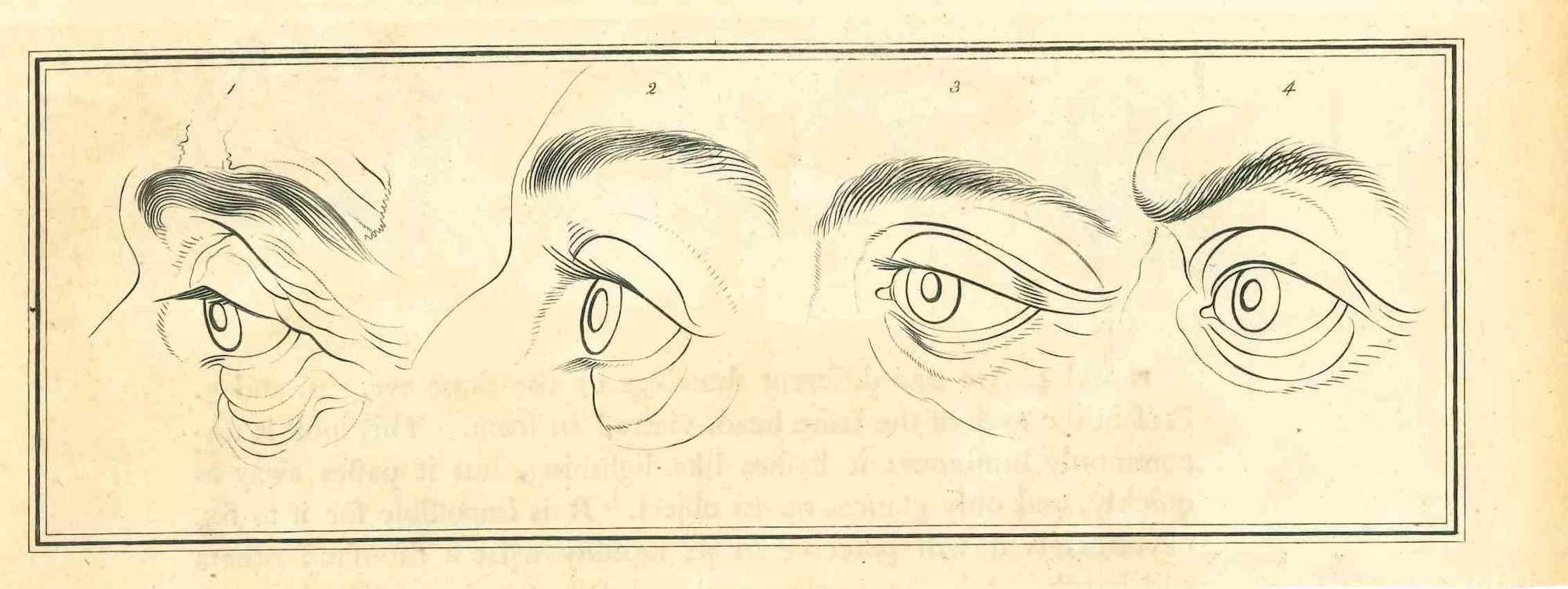 Les yeux - La physionomie est une gravure originale réalisée par Thomas Holloway pour les "Essais sur la physionomie, destinés à promouvoir la connaissance et l'amour de l'humanité" de Johann Caspar Lavater, Londres, Bensley, 1810. 

Bonnes