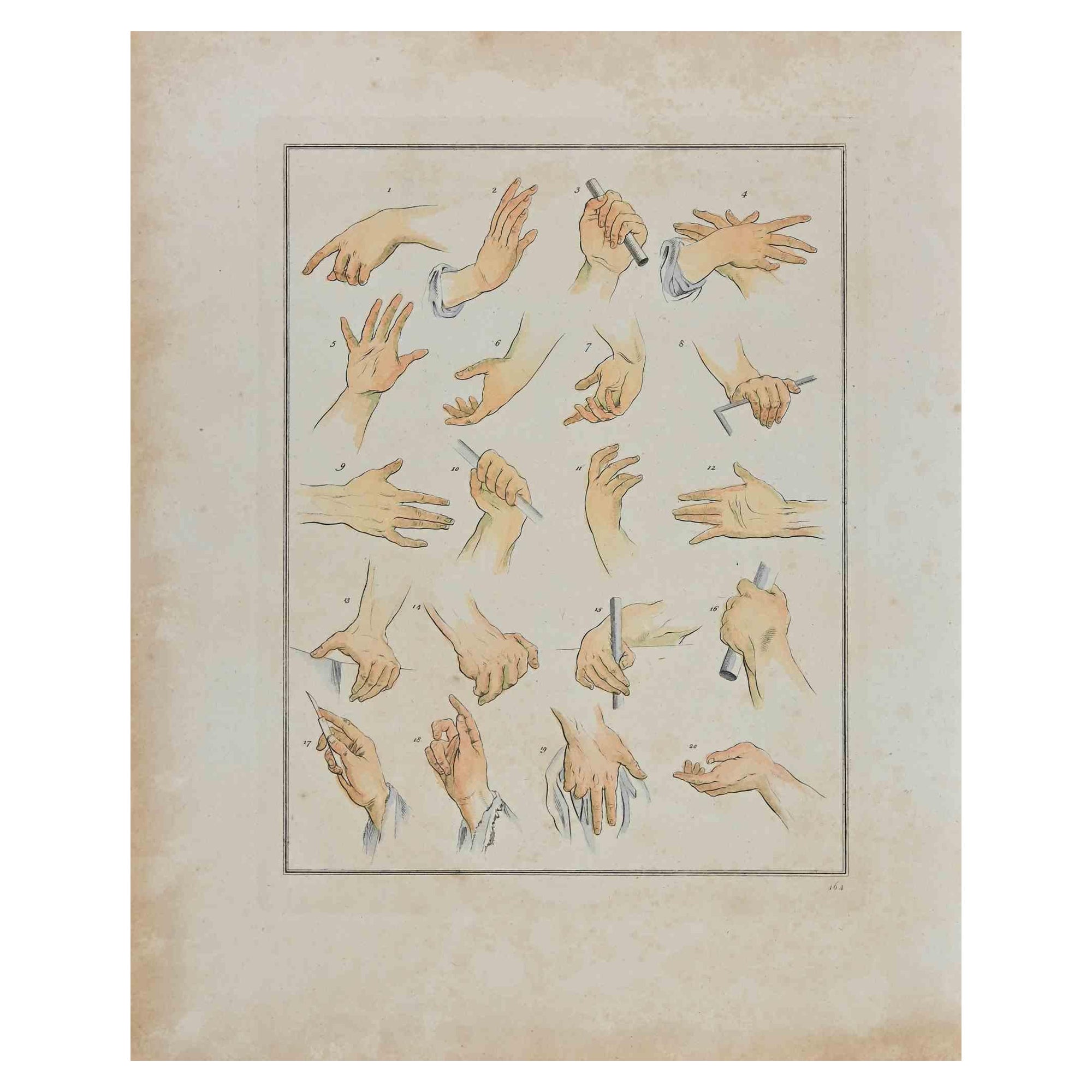Thomas Holloway, Hands, Radierung auf Papier, handaquarelliert, 1810, ist ein Kunstwerk, das Thomas Holloway für Johann Caspar Lavaters "Essays on Physiognomy, Designed to Promote the Knowledge and the Love of Mankind", London, Bensley, 1810,