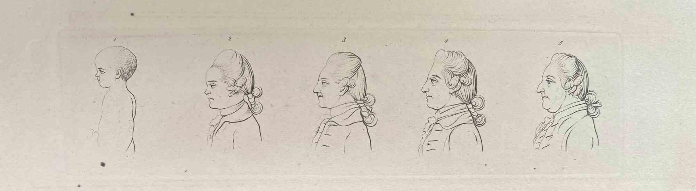 Head of a Man Throughout the Years is an original artwork realized by Thomas Holloway for Johann Caspar Lavater's  "Essays on Physiognomy, Designed to promote the Knowledge and the Love of Mankind", London, Bensley, 1810. 

 This artwork portrays