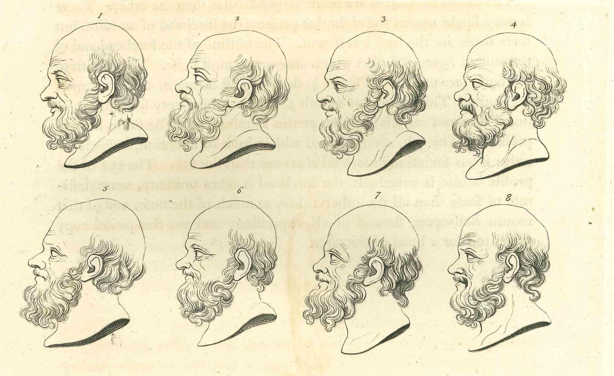Heads of man is an original artwork realized by Thomas Holloway for Johann Caspar Lavater's  "Essays on Physiognomy, Designed to promote the Knowledge and the Love of Mankind", London, Bensley, 1810. 

 This artwork portrays heads of men. On the