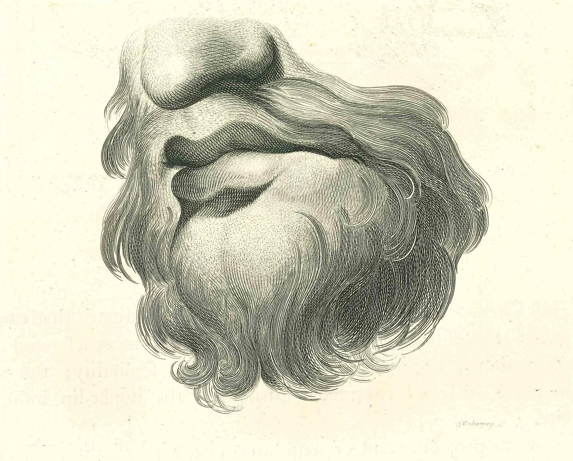 Lips Portrait is an original artwork realized by Thomas Holloway for Johann Caspar Lavater's  "Essays on Physiognomy, Designed to promote the Knowledge and the Love of Mankind", London, Bensley, 1810.

This artwork portrays a portrait of the lips of
