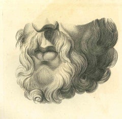 Portrait de lèvres - gravure originale de Thomas Holloway - 1810