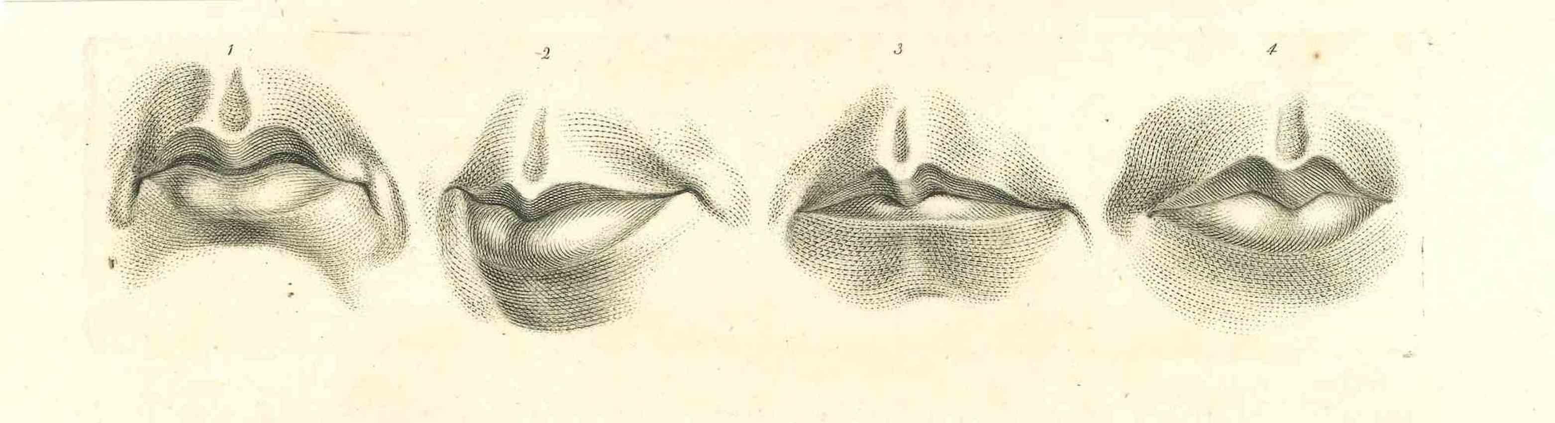 Lèvres - La physionomie est une gravure originale réalisée par Thomas Holloway pour les "Essais sur la physionomie, destinés à promouvoir la connaissance et l'amour de l'humanité" de Johann Caspar Lavater, Londres, Bensley, 1810. 

Bonnes