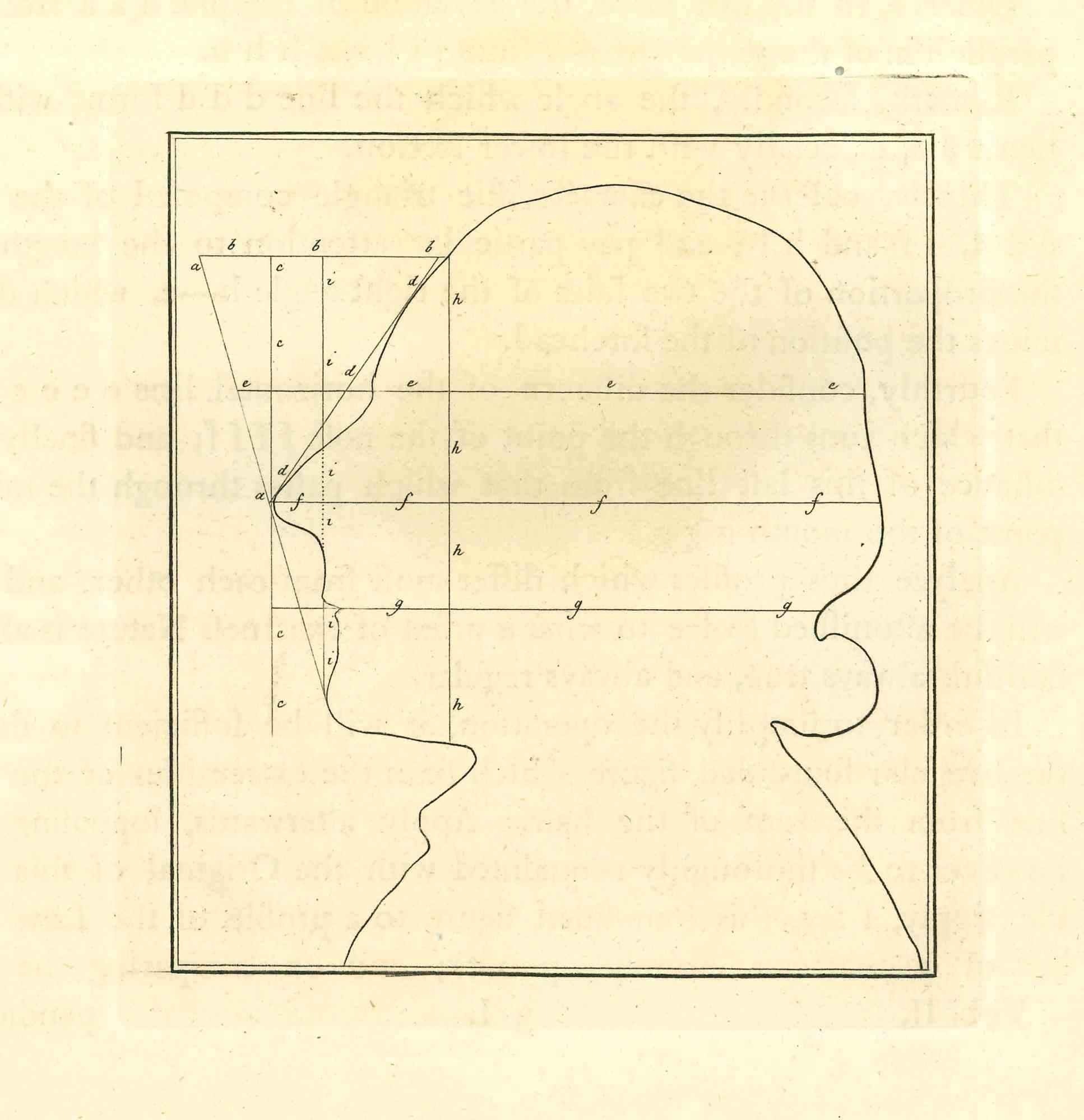 Measuring a Profile is an original etching artwork realized by Thomas Holloway for Johann Caspar Lavater's "Essays on Physiognomy, Designed to Promote the Knowledge and the Love of Mankind", London, Bensley, 1810. 

With the script on the