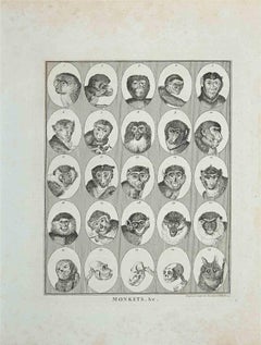 Antique Monkeys - Original Etching by Thomas Holloway - 1810