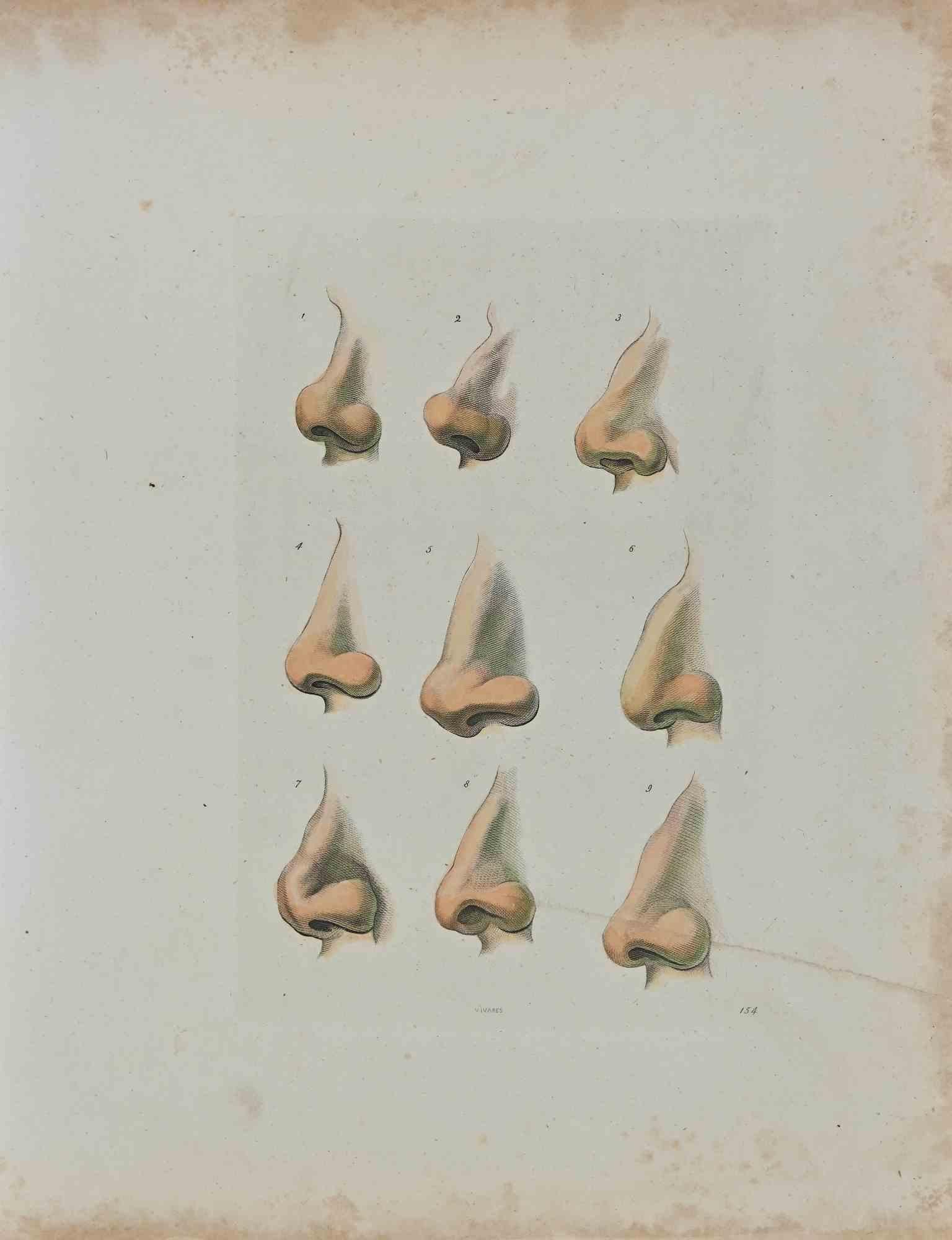 Thomas Holloway, Noses, Originalradierung, 1810. Die Physiognomy - The Noses ist ein Originalradierungskunstwerk, geschaffen von Thomas Holloway für Johann Caspar Lavaters "Essays on Physiognomy, Designed to Promote the Knowledge and the Love of