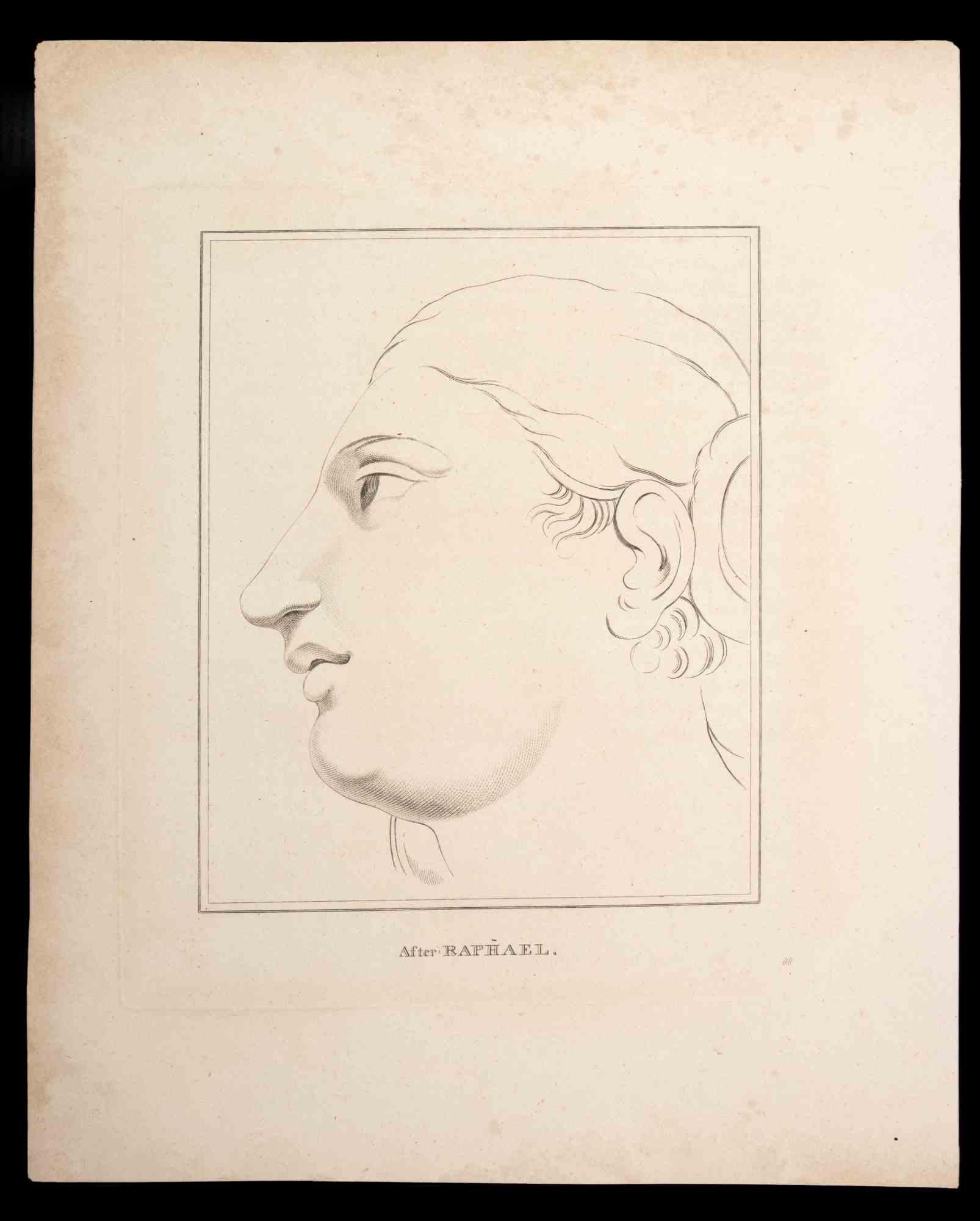 Portrait after Raphael is an original etching artwork realized by Thomas Holloway for Johann Caspar Lavater's "Essays on Physiognomy, Designed to Promote the Knowledge and the Love of Mankind", London, Bensley, 1810. 

Engraved on the lower center