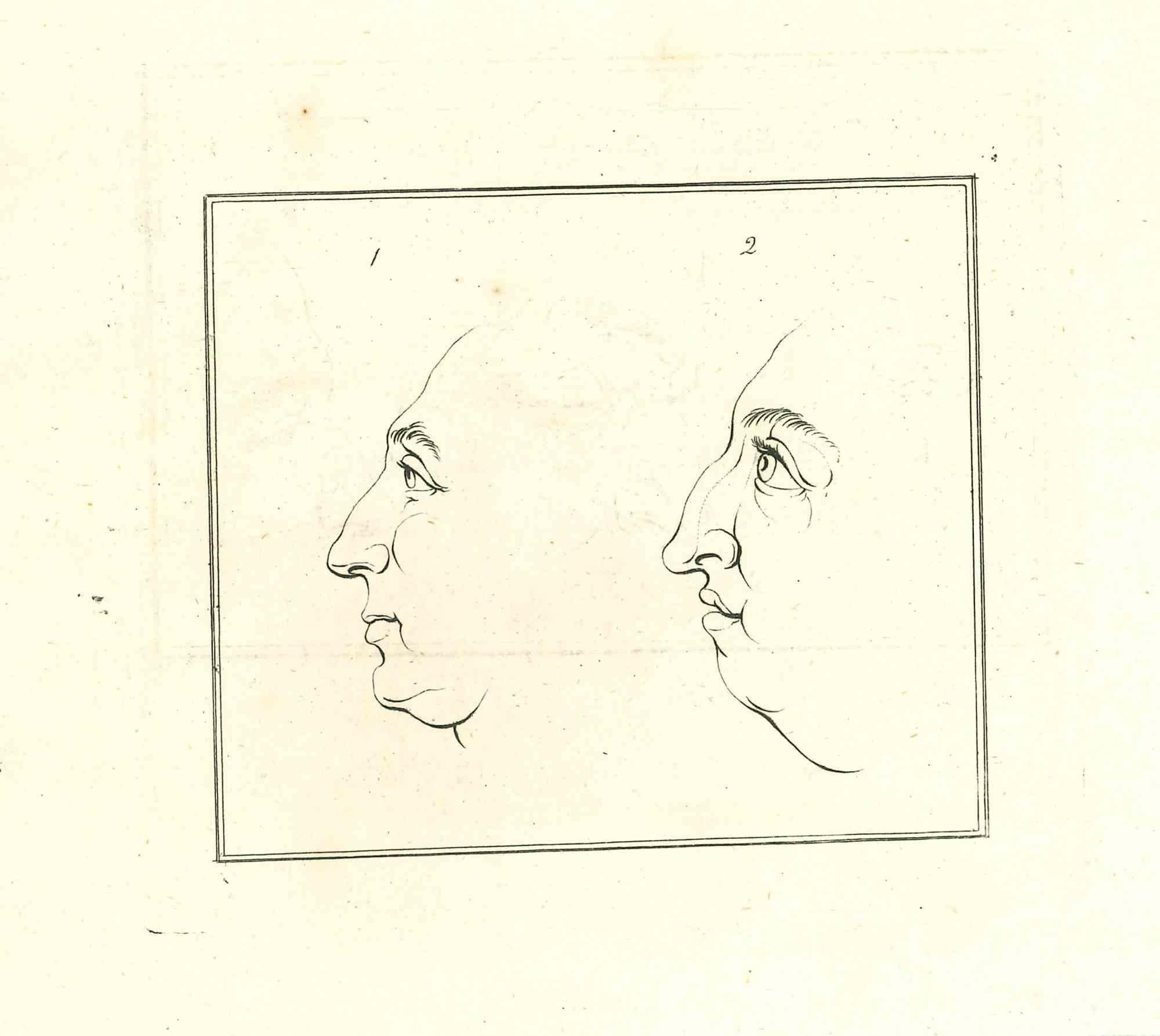 Portrait - The Physiognomy is an original etching artwork realized by Thomas Holloway for Johann Caspar Lavater's "Essays on Physiognomy, Designed to Promote the Knowledge and the Love of Mankind", London, Bensley, 1810. 

Good conditions.

Johann