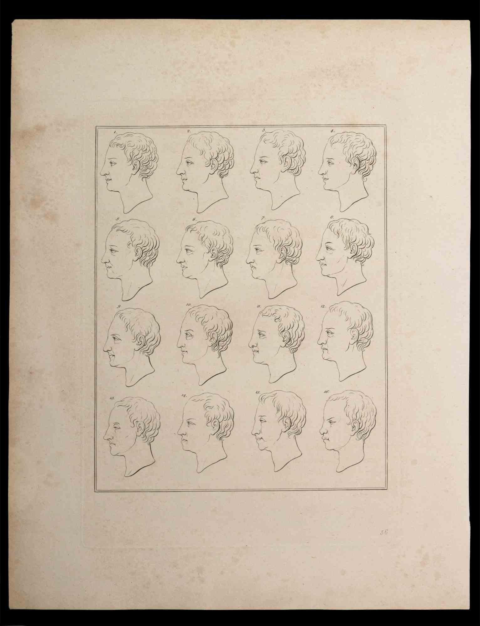 Profiles of man is an original etching artwork realized by Thomas Holloway for Johann Caspar Lavater's "Essays on Physiognomy, Designed to Promote the Knowledge and the Love of Mankind", London, Bensley, 1810. 

This artwork represents the profiles