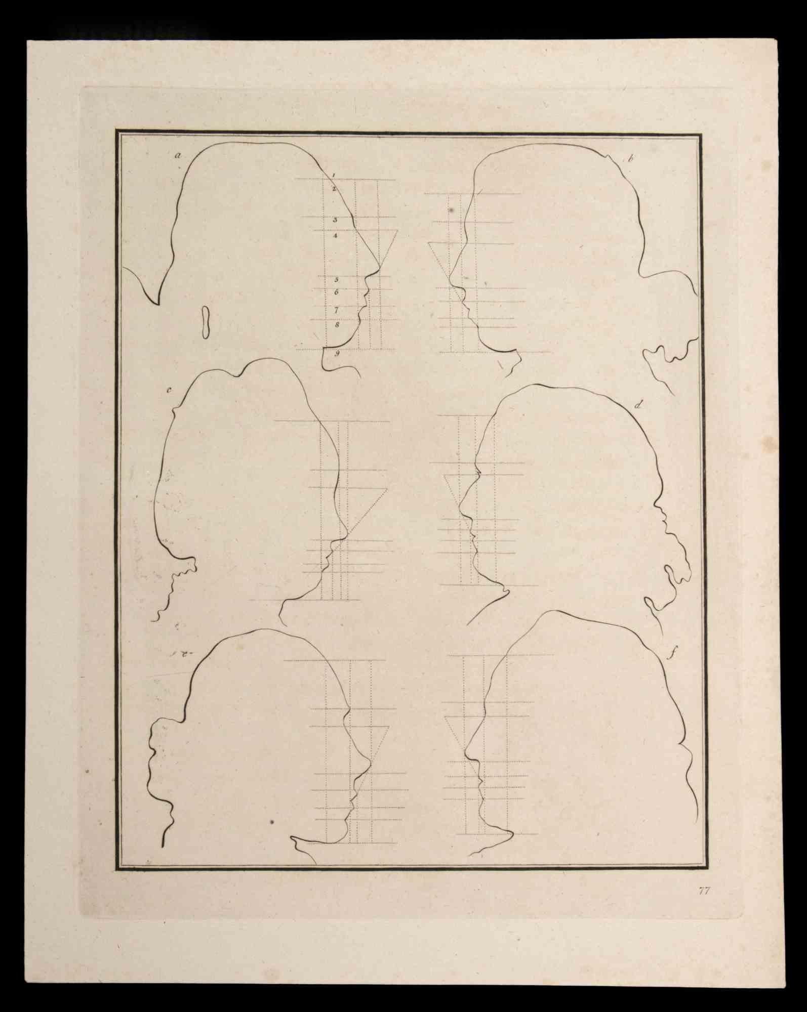 The portrait after Raphael is an original etching artwork realized by Thomas Holloway for Johann Caspar Lavater's "Essays on Physiognomy, Designed to Promote the Knowledge and the Love of Mankind", London, Bensley, 1810. 

Good conditions, except