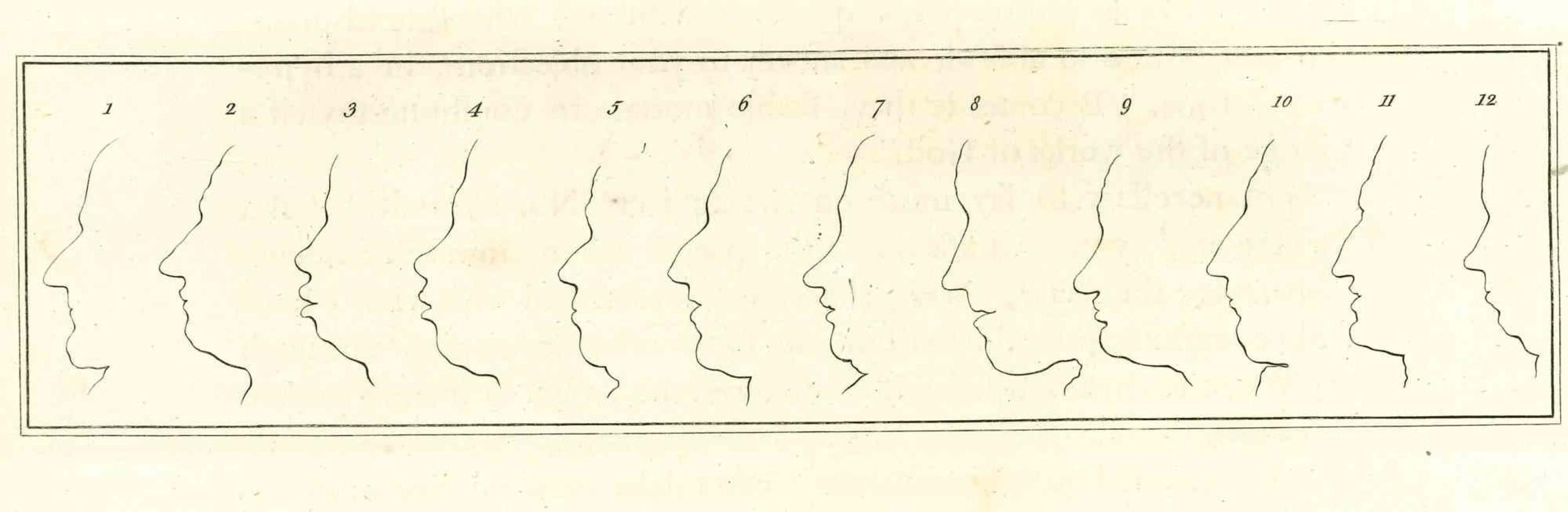 Profils est une œuvre d'art originale réalisée par Thomas Holloway pour l'ouvrage de Johann Caspar Lavater  "Essais sur la physiognomonie, destinés à promouvoir la connaissance et l'amour de l'humanité", Londres, Bensley, 1810. 

 Cette œuvre d'art