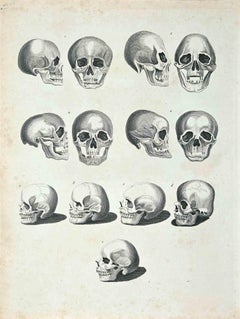 Skulls - Original Etching by Thomas Holloway - 1810