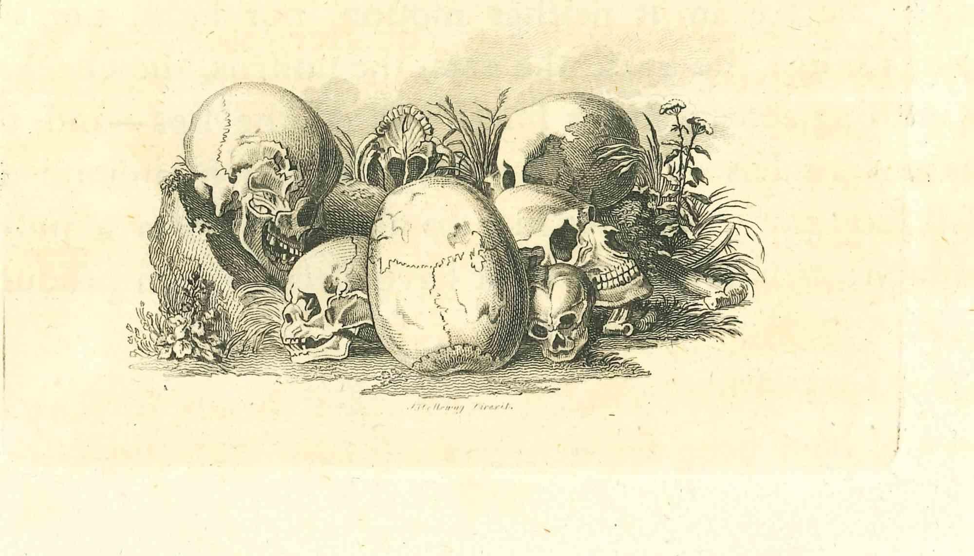 Skulls is an etching realized by Thomas Holloway for Johann Caspar Lavater's "Essays on Physiognomy, Designed to Promote the Knowledge and the Love of Mankind", London, Bensley, 1810. 

Good conditions.

Johann Caspar Lavater was a swiss theologian