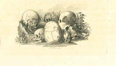 Antique Skulls - The Physiognomy - Etching by Thomas Holloway - 1810