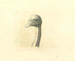 Les oiseaux - eau-forte originale de Thomas Holloway - 1810