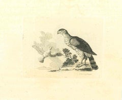 Antique The Birds - Original Etching by Thomas Holloway - 1810