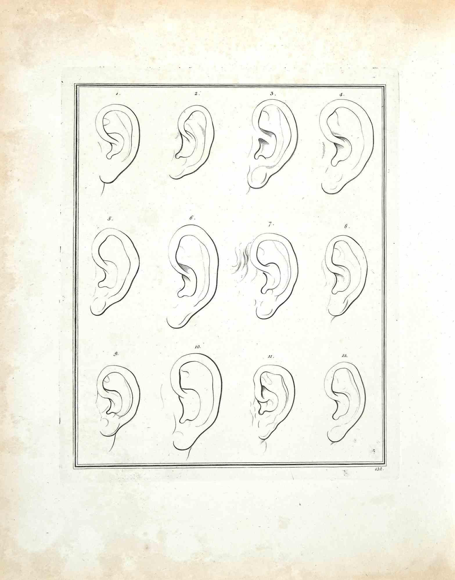 The Ears - The Physiognomy - Original Etching by Thomas Holloway - 1810