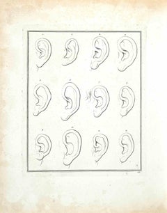 The Ears - The Physiognomy - Original Etching by Thomas Holloway - 1810