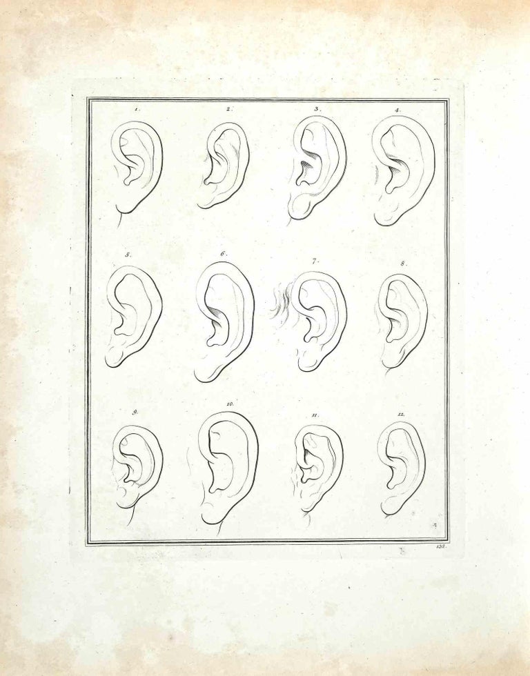 Thomas Holloway - The Ears - The Physiognomy - Original Etching by ...