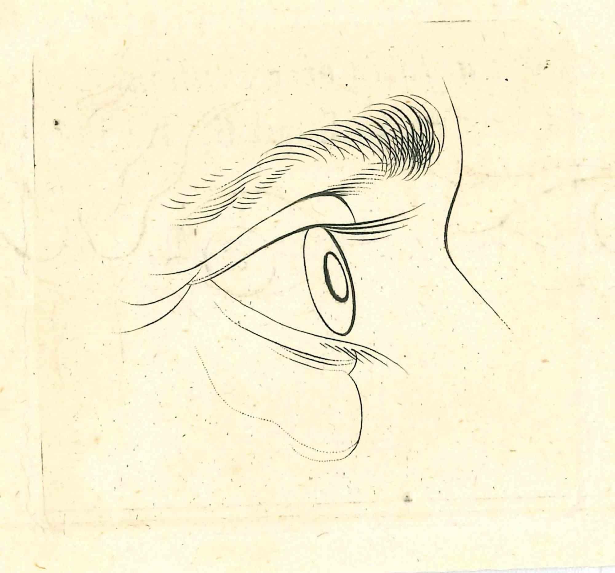 Das Auge - Die Physiognomie ist eine Originalradierung von Thomas Holloway für Johann Caspar Lavaters "Essays on Physiognomy, Designed to Promote the Knowledge and the Love of Mankind", London, Bensley, 1810. 

Mit dem Vermerk auf der