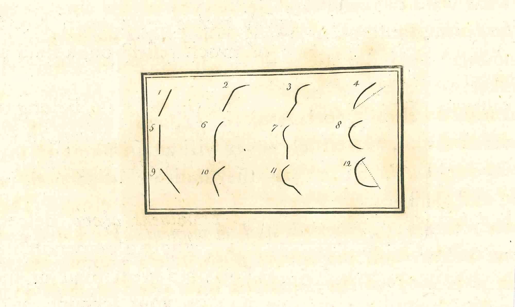 The Face's Lines - Die Physiognomy -  Eine Radierung von Thomas Holloway - 1810