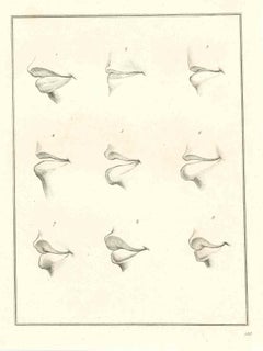 Les lèvres - La physiognomie -  Gravure originale de Thomas Holloway - 1810