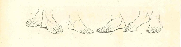 Thomas Holloway The Physiognomy Feet Original Etching By Thomas thomas-holloway-the-physiognomy-feet-original-etching-by-thomas