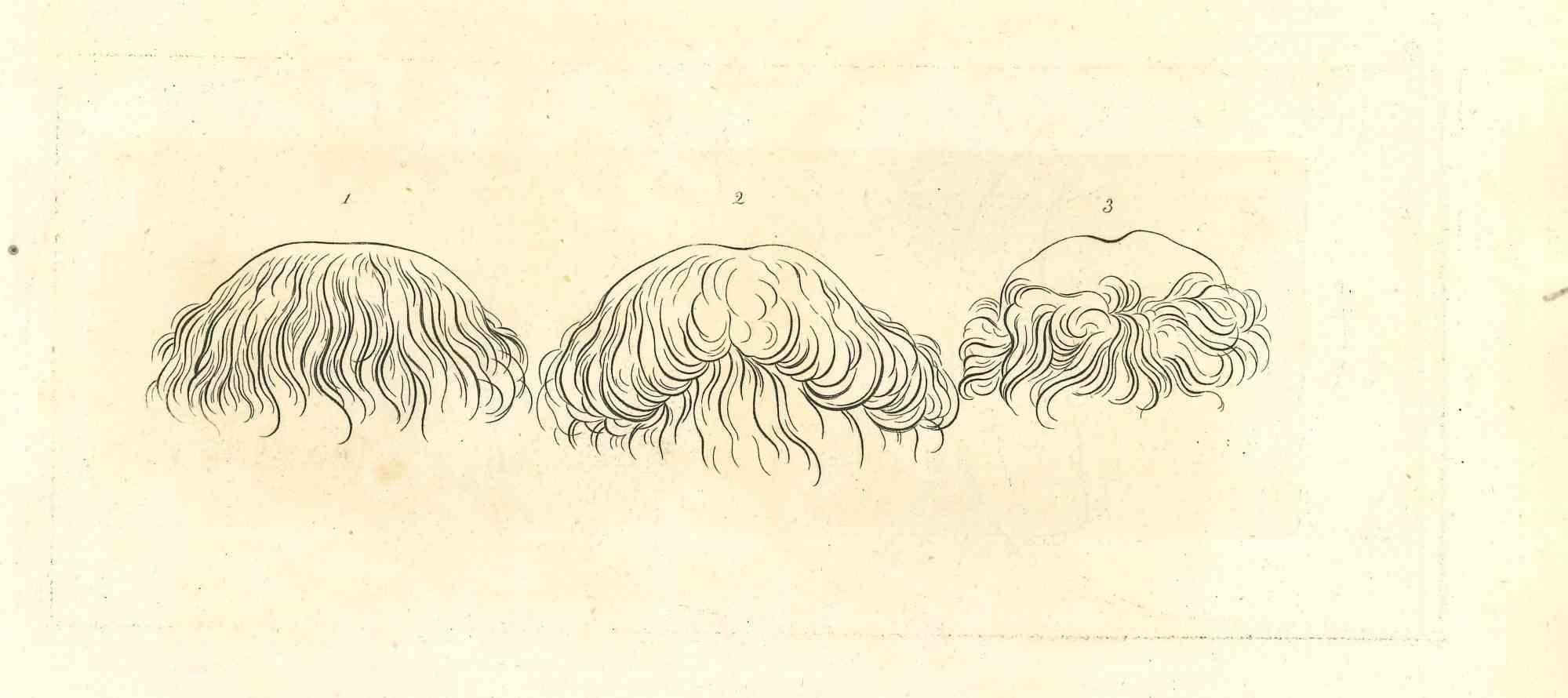 1810s hairstyles
