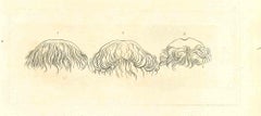 Antique The Physiognomy - Hairstyles - Original Etching by Thomas Holloway - 1810