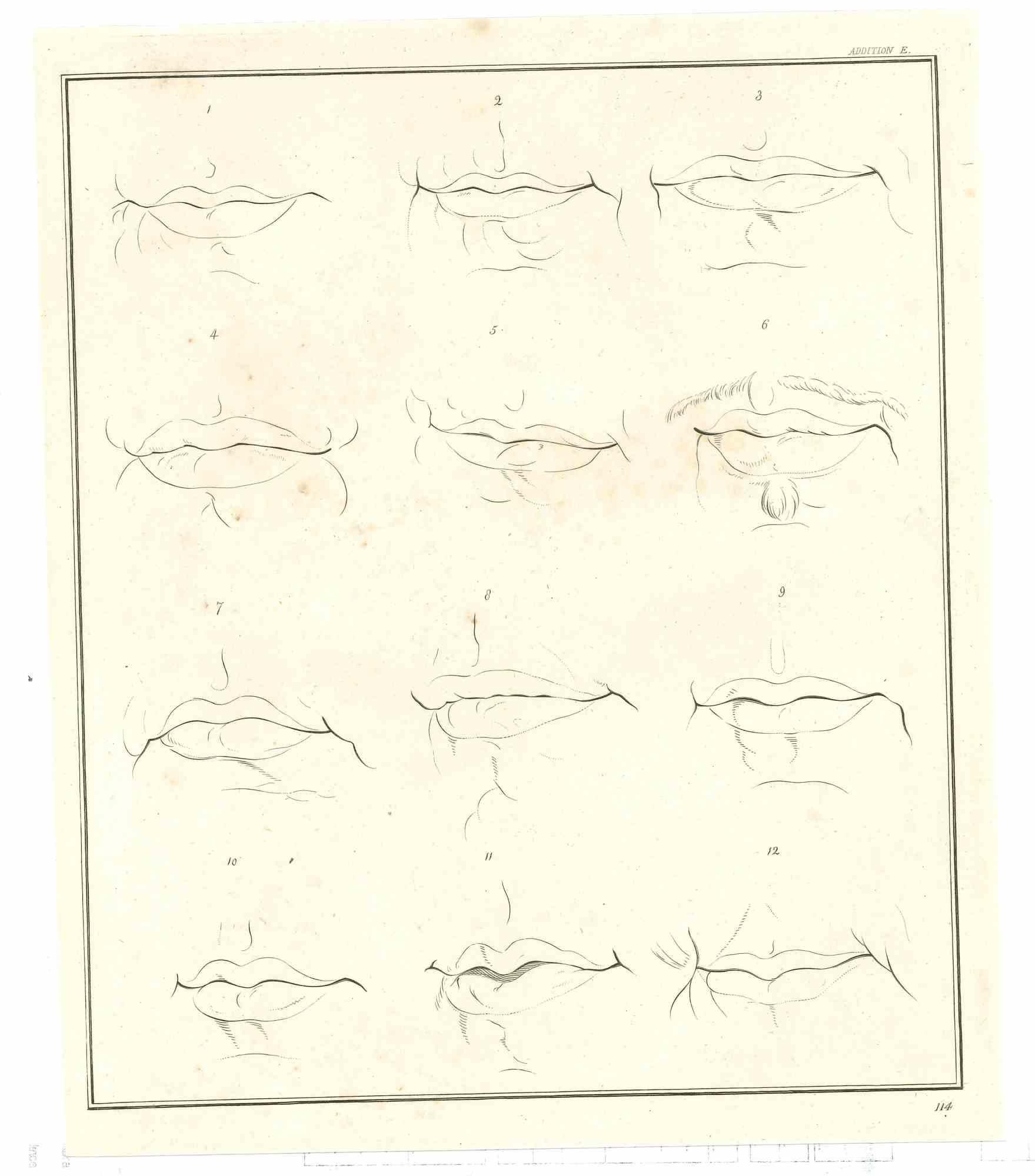The Physiognomy - Lips ist eine Original-Radierung von Thomas Holloway für Johann Caspar Lavaters "Essays on Physiognomy, Designed to Promote the Knowledge and the Love of Mankind", London, Bensley, 1810. 

Guter Zustand mit leichten Stockflecken.