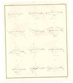 Physiognomie - Tropfen -  Eine Radierung von Thomas Holloway - 181