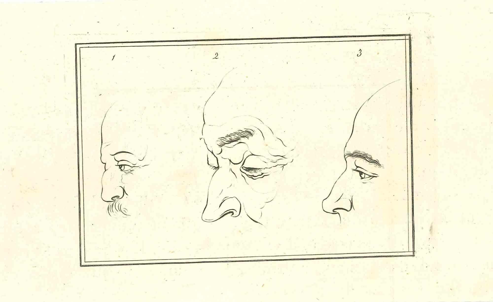 The Physiognomy - Profile -  Original Etching by Thomas Holloway - 181