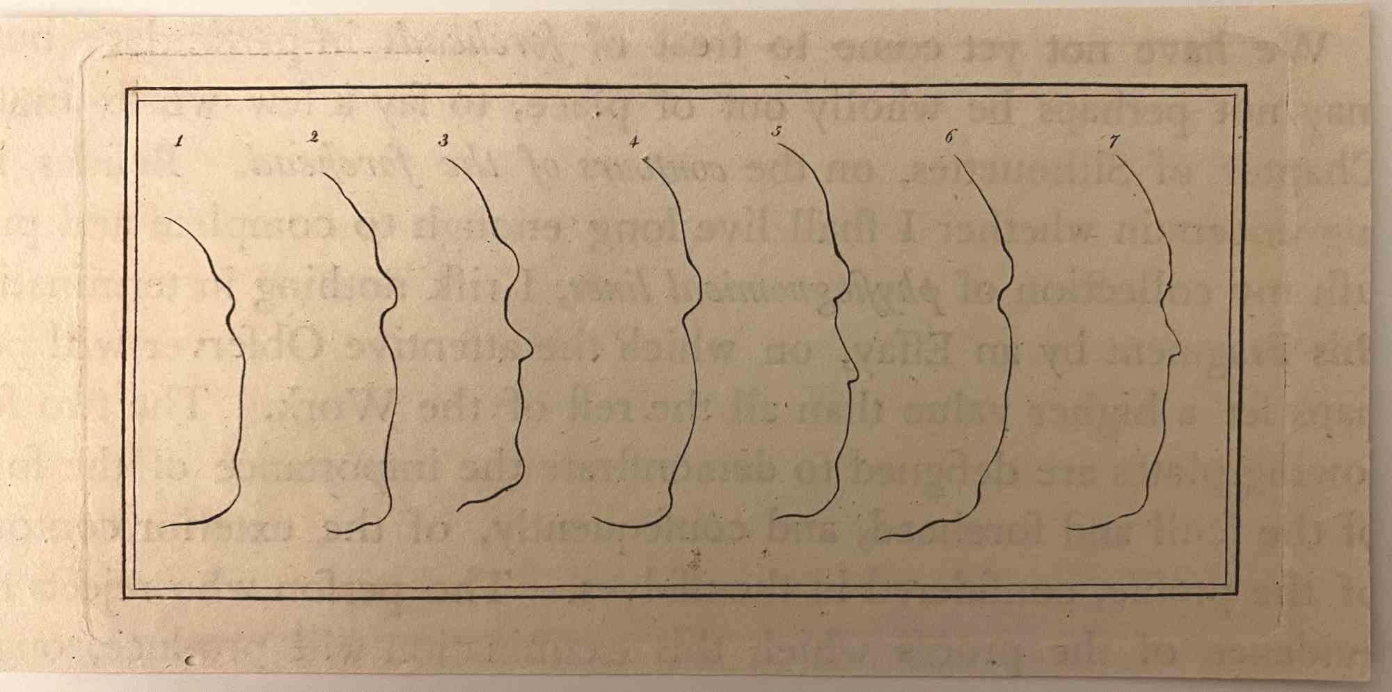 The Physiognomy - Profiles is an original etching artwork realized by Thomas Holloway for Johann Caspar Lavater's "Essays on Physiognomy, Designed to Promote the Knowledge and the Love of Mankind", London, Bensley, 1810. 

With the script on the