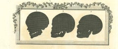 Antique The Physiognomy-Skulls' Silhouettes - Original Etching by Thomas Holloway - 1810