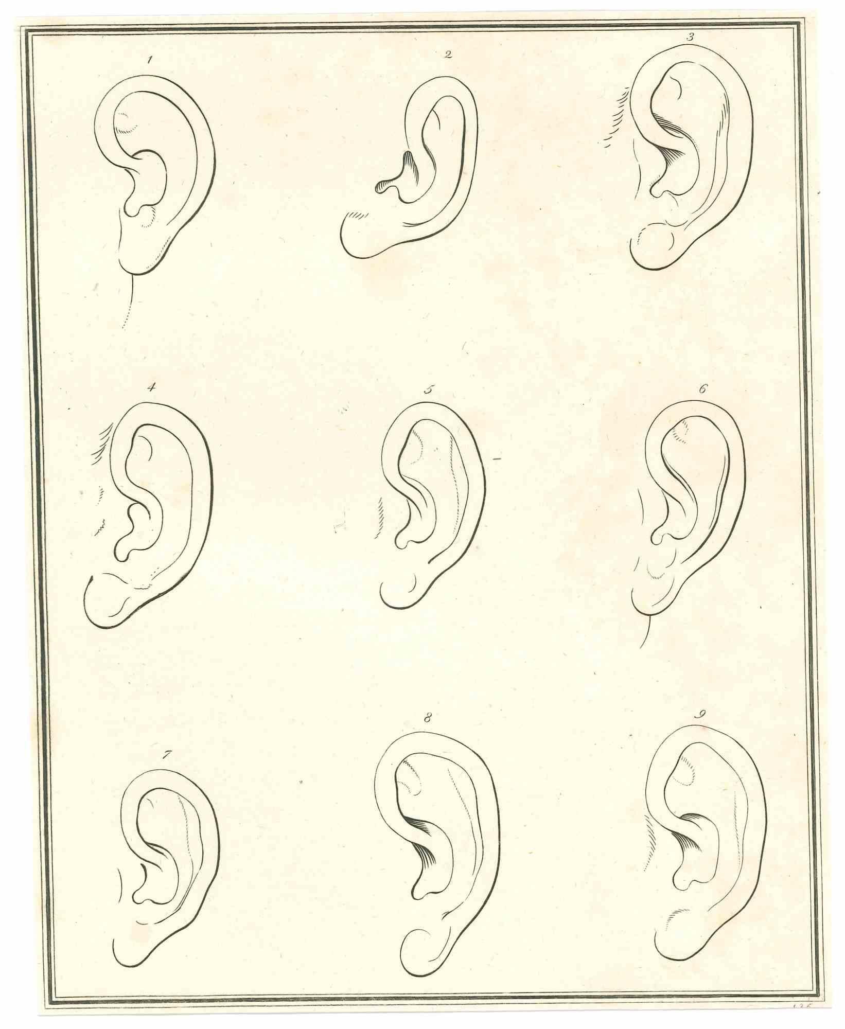 The Physiognomy - The Ears ist eine Originalradierung von Thomas Holloway für Johann Caspar Lavaters "Essays on Physiognomy, Designed to Promote the Knowledge and the Love of Mankind", London, Bensley, 1810. 

Gute Bedingungen.

Johann Caspar