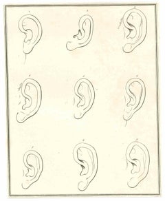 Antique The Physiognomy - The Ears - Original Etching by Thomas Holloway - 1810