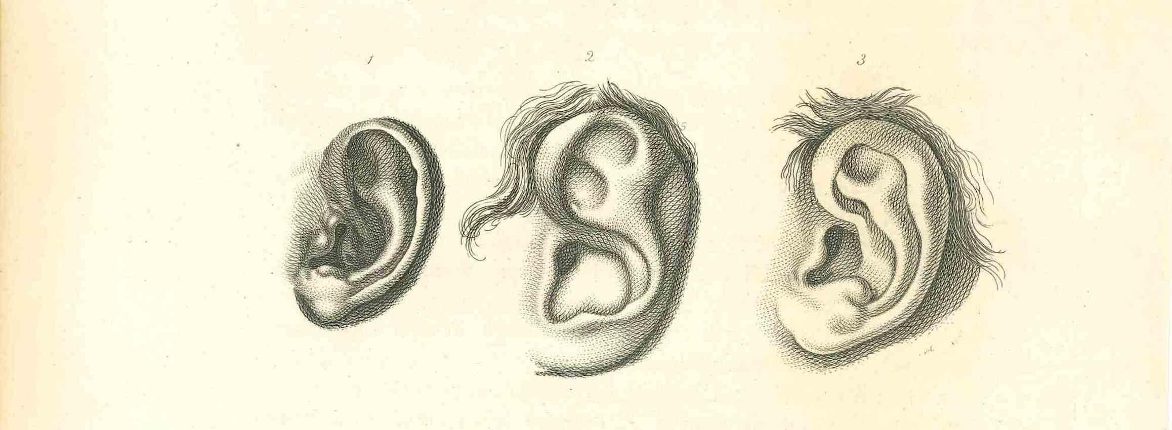 The Physiognomy - The Ears ist eine Originalradierung von Thomas Holloway für Johann Caspar Lavaters "Essays on Physiognomy, Designed to Promote the Knowledge and the Love of Mankind", London, Bensley, 1810. 

Gute Bedingungen.

Mit dem Vermerk auf