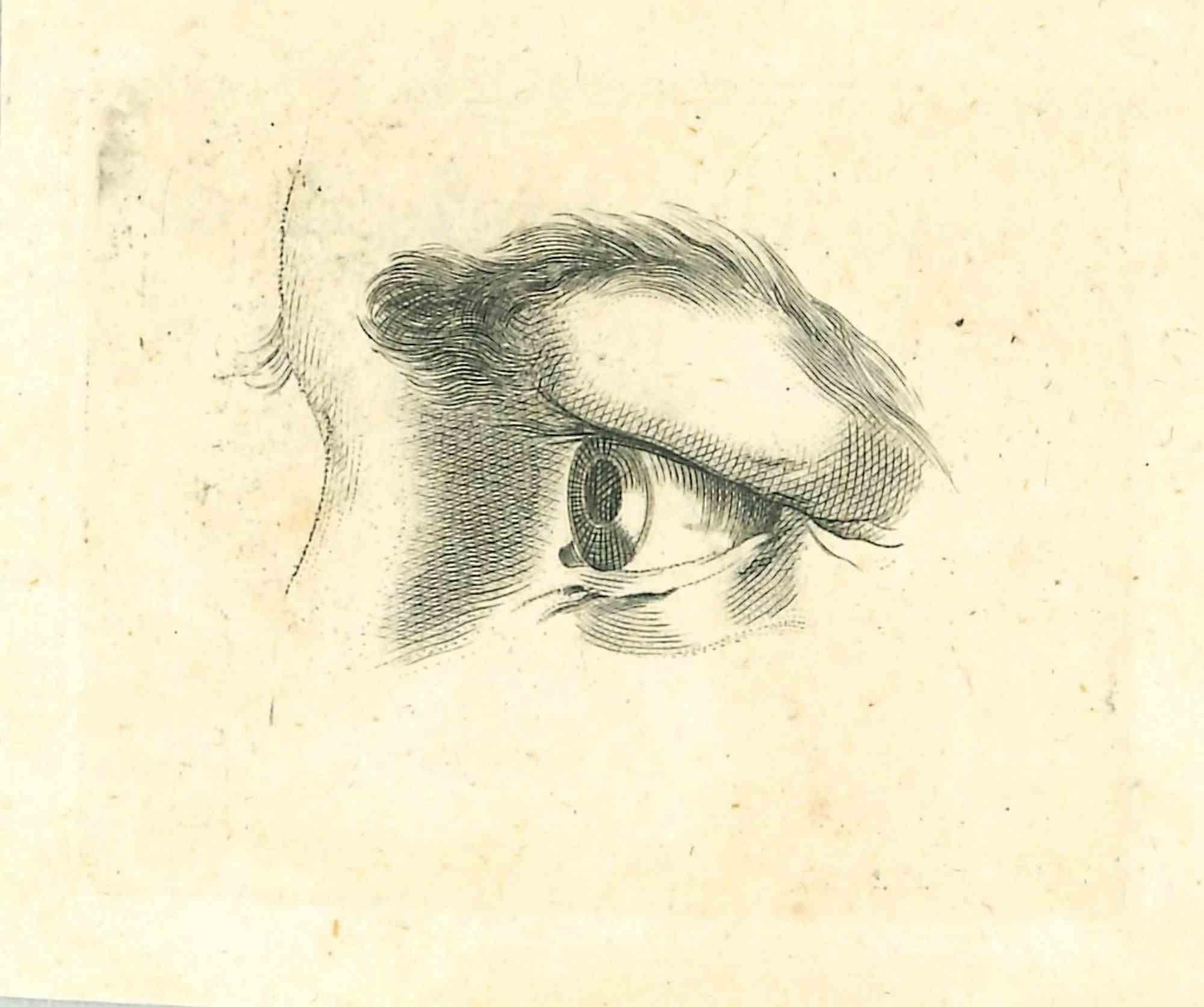 Die Physiognomie - Das Auge ist eine Originalradierung von Thomas Holloway für Johann Caspar Lavaters "Essays on Physiognomy, Designed to Promote the Knowledge and the Love of Mankind", London, Bensley, 1810. 

Gute Bedingungen.

Mit Notizen auf der